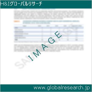 グローバルリサーチ調査レポートのイメージ